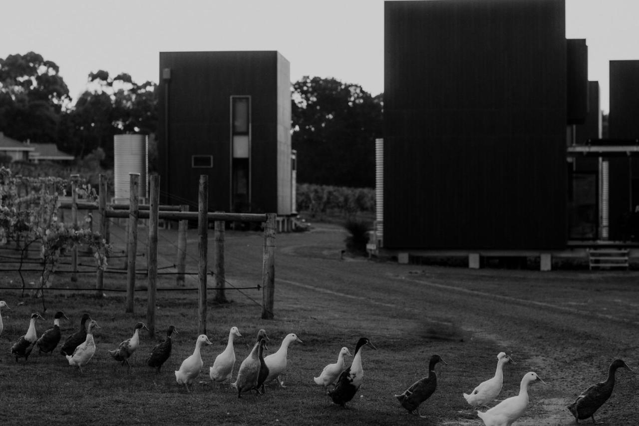 Barn Hives Yallingup Exterior foto