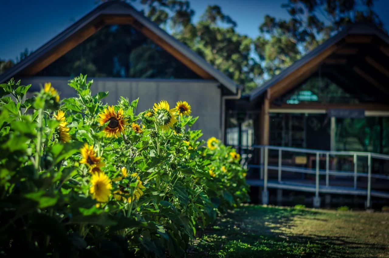 Barn Hives Yallingup Exterior foto